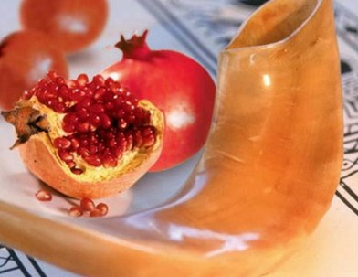 Why? Rosh Hashana Practices: Apples, Honey,Fish,Shofar